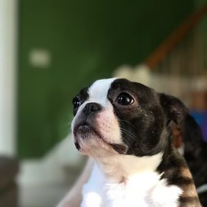 Meet your Posher, Brittney